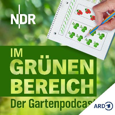 Gut geplant ist halb geerntet: Mit Pflanzplan zum Erfolg Gut geplant ist halb geerntet: Mit Pflanzplan zum Erfolg