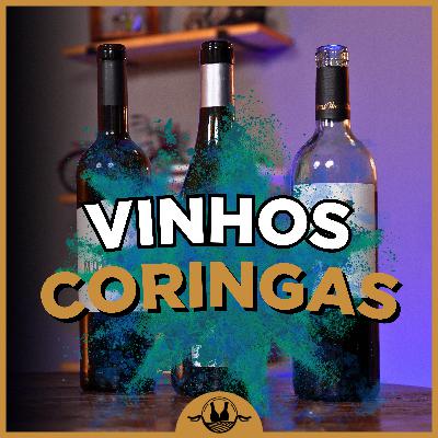 3 VINHOS CORINGAS NOTÁVEIS com custo-benefício🍷 #170