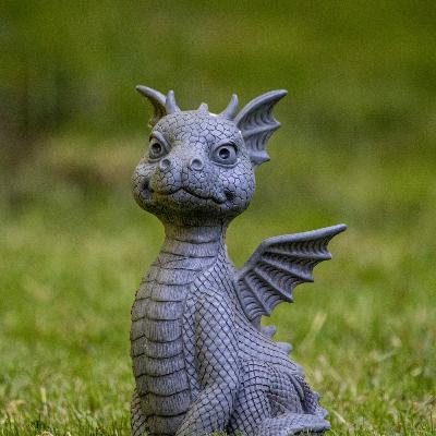 El Dragón Solitario