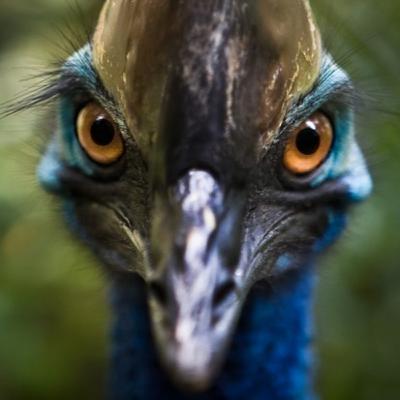 episode 4 - far cry 3 (CLEAN CUT)