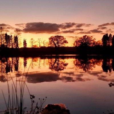 Trip 37 Carp Fishing ( A Quick Change of Plans)