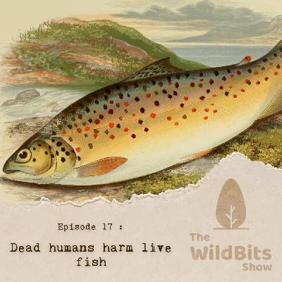Dead humans harm live fish Dead humans harm live fish