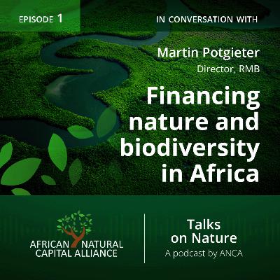 Financing Nature and Biodiversity Projects across Africa