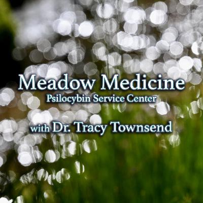 Episode 345: Meadow Medicine, Psilocybin Service Center with Dr. Tracy Townsend