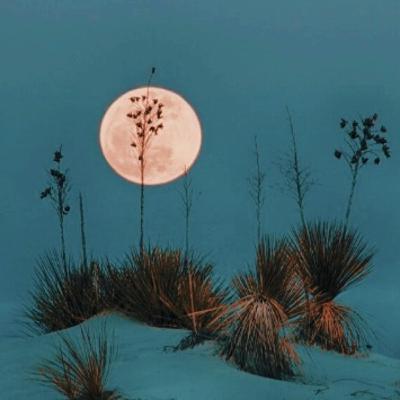 🌕 Full Moon in Capricorn ♑️ Guided Meditation ✨ 🌕 Full Moon in Capricorn ♑️ Guided Meditation ✨