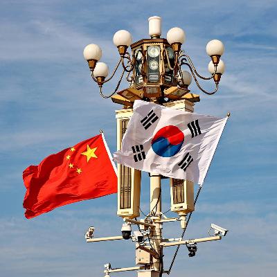 President Xi holds talks with South Korean President