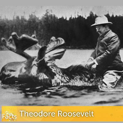 Fun Facts About Theodore Roosevelt Fun Facts About Theodore Roosevelt