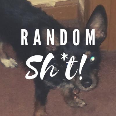 Gabbie Hanna's Poetry | Random Sh*t!