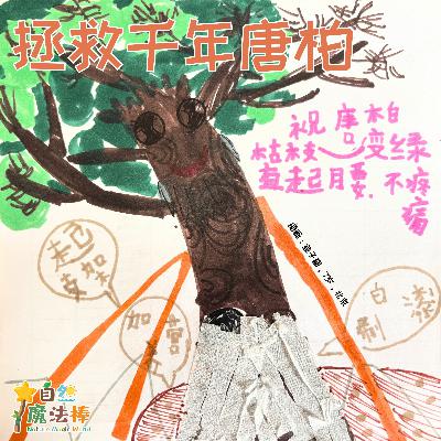 【亲亲自然】拯救千年唐柏