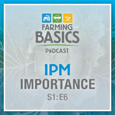 Season 1 Episode 6 – IPM Importance
