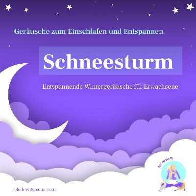 Stürmischer Schneesturm - Schnee, Hagel & Sturmgeräusche zum Einschlafen & Entspannen für Erwachsene