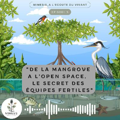 De la mangrove à l'open-space, le secret des équipes fertiles - Ep.05