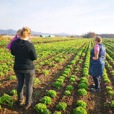Connecting 6,000 customers with 30+ farmers at Mali Plac food hub in Slovenia