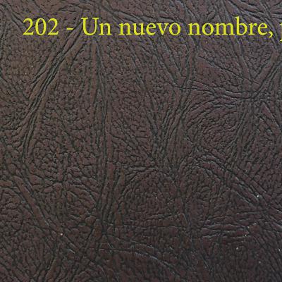 21 - 02 Un nuevo nombre, por EGW 21 - 02 Un nuevo nombre, por EGW