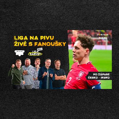Speciál ŽIVĚ | Koubek zabil Daridu, Češi to zlomili silou, tahoun Krejčí a antivýkon Chorého. Jak na Dánsko? Speciál ŽIVĚ | Koubek zabil Daridu, Češi to zlomili silou, tahoun Krejčí a antivýkon Chorého. Jak na Dánsko?