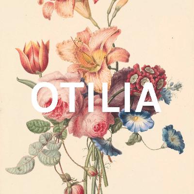 ,,Omida mâncăcioasă", de Eric Carle ,,Omida mâncăcioasă", de Eric Carle