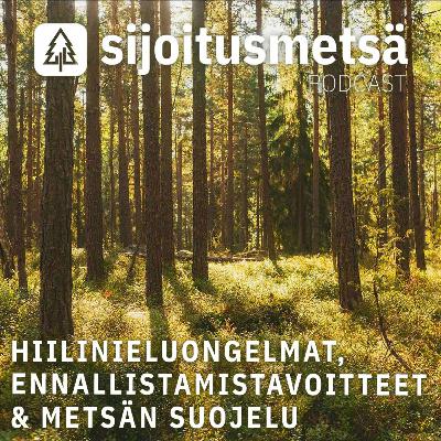 Juha S. Niemelä - Hiilinieluongelmat, ennallistamistavoitteet ja metsän suojelu