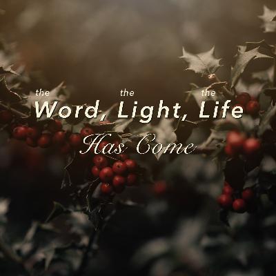 John 1:4-5 | The Light Shines In The Darkness