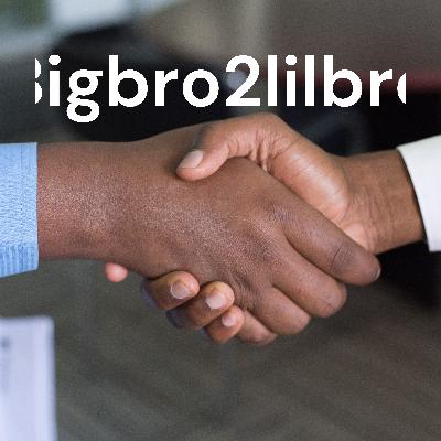 Bigbro2lilbro (Trailer)