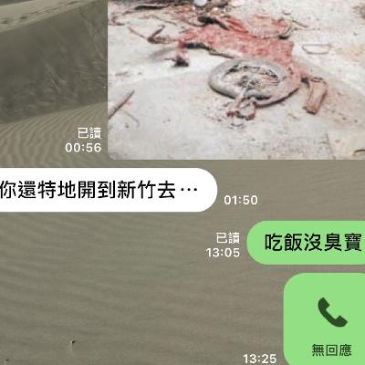 中途置換節目主題
