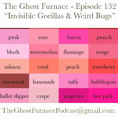 Invisible Gorillas & Weird Bugs