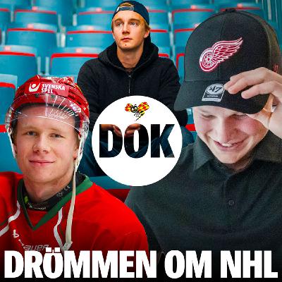 Drömmen om NHL – "Kommer jag dö?" (1/3) Drömmen om NHL – "Kommer jag dö?" (1/3)