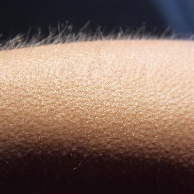 Wann und warum löst Musik Gänsehaut aus?