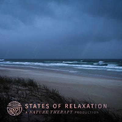 S2 E15: Windy Ocean Waves and Rain Sounds For Sleeping