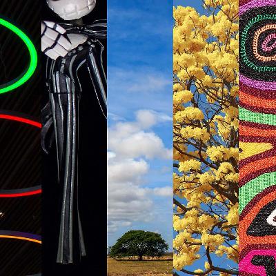 5 Elementos de Composicion