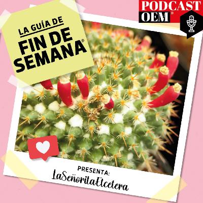 Por eventos con más cactáceas legales​