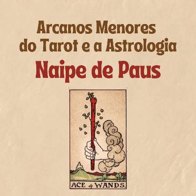NAIPE DE PAUS: Tarot e Astrologia