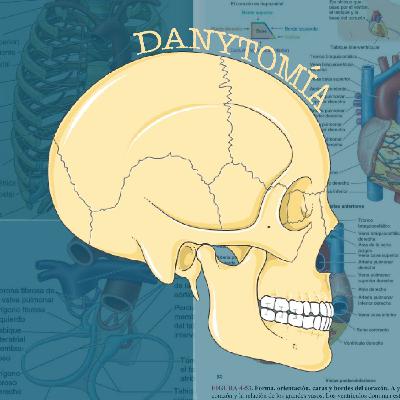 CICLO DE KREBS: Introduccion al ciclo de krebs