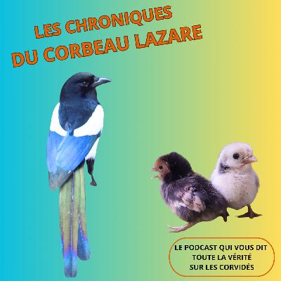 Pies et poussins  : un équilibre délicat
