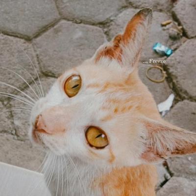 Hi :')