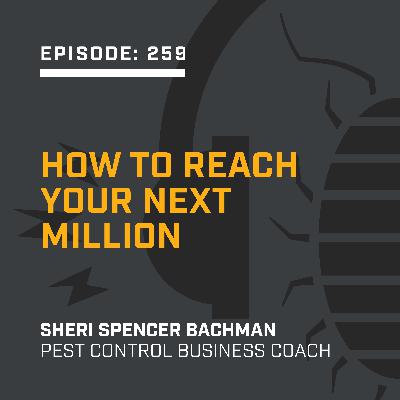 Episode 259:  How to Reach Your Next Million