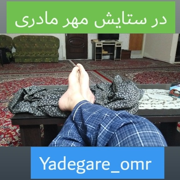 در ستایش مهر مادری در ستایش مهر مادری