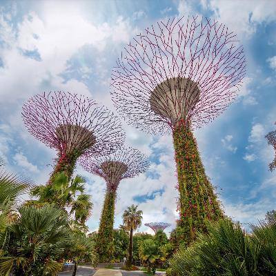 How Singapore leads the way in urban-wildlife coexistence