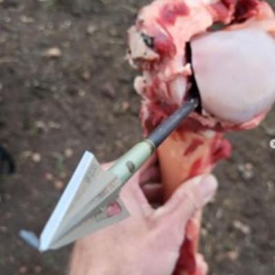 Ep 11 - Broadheads and Arrows w/ Ranch Fairy