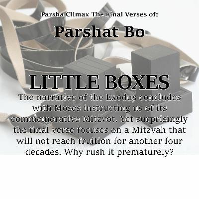 The Final Verses Of Parshat Bo