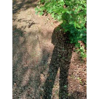 Mercredi 28e semaine du Temps Ordinaire