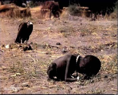 【锅言锅语001】 饥饿的苏丹