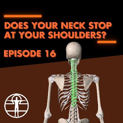 E16: Does your neck stop at your shoulders?