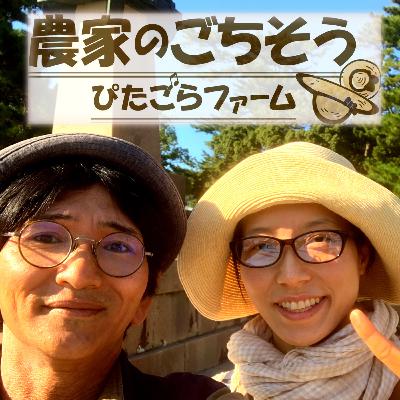 #9 お餅〜地域や季節いろいろ談義〜