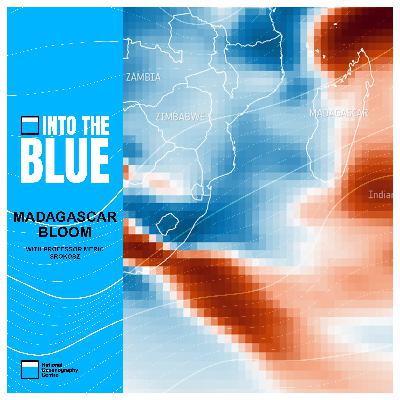 How an Unusual 'Bloom' Positively Affected Marine Life and the Atmosphere | Into the Blue Podcast