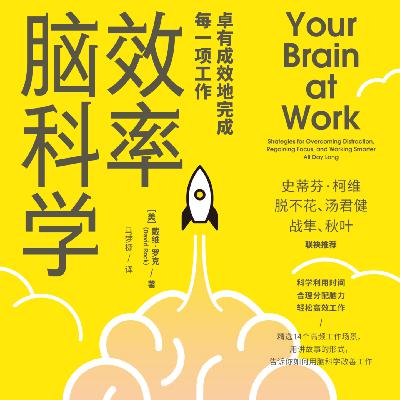《效率脑科学: 卓有成效地完成每一项工作》/《Your Brain at Work》
