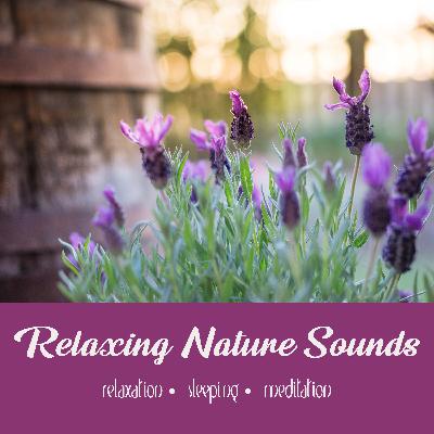 English Garden with Chimes | Four Hours English Garden with Chimes | Four Hours