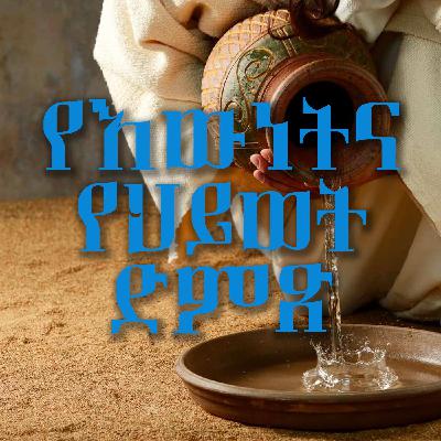 ከቁጥጥር ውጪ የሆኑ ነገሮች ሲገጥሙን... - ክፍል 4.mp3