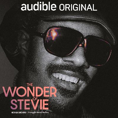 Introducing The Wonder of Stevie