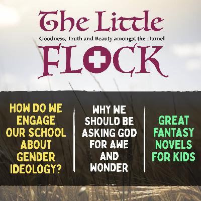 12. Why has the Christian Church lost relevance to our teenagers? How do we engage with schools about gender ideology? Should Christians be involved in politics? 12. Why has the Christian Church lost relevance to our teenagers? How do we engage with schools about gender ideology? Should Christians be involved in politics?