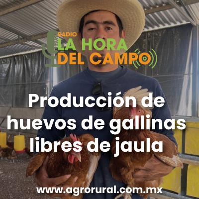 Programa del 050425: producción de huevo de gallinas libre de jaulas Programa del 050425: producción de huevo de gallinas libre de jaulas